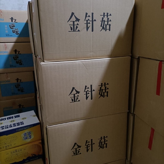 白金针菇  金针菇  40斤装a级b级c级