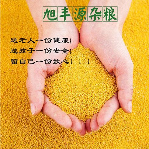兴县山西吕梁兴县晋谷21号天然绿色有机黄小米养胃月子米产地直销