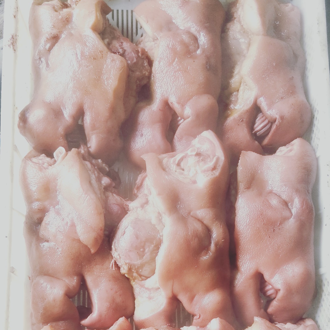 猪头 肉 好的头肉