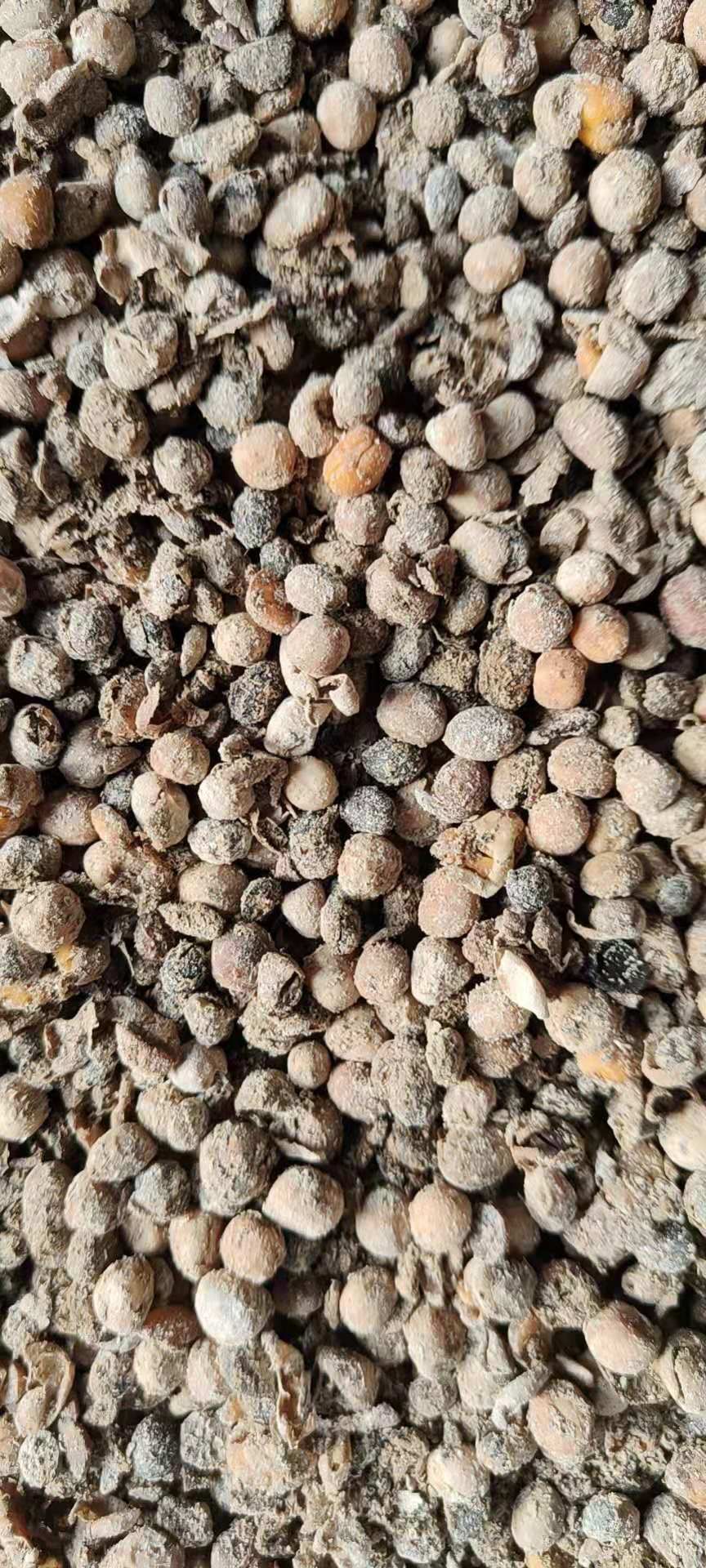 发酵大豆菌肥厂家
