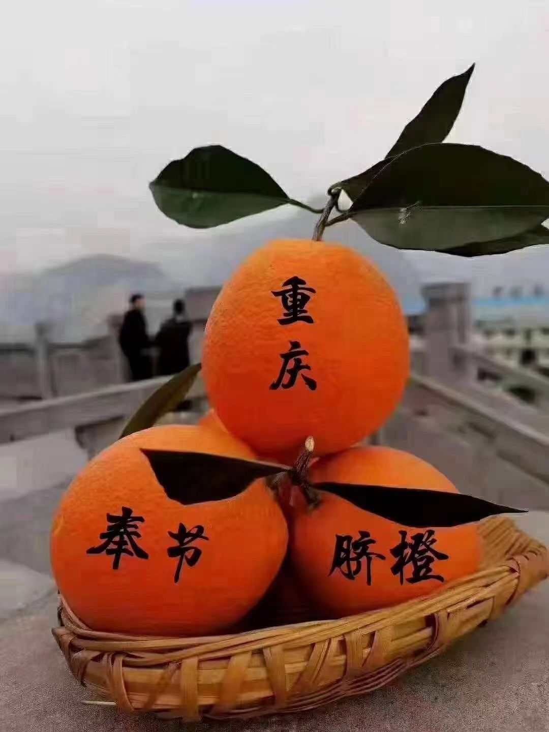 脐橙 重庆市重庆市奉节县 一级果 