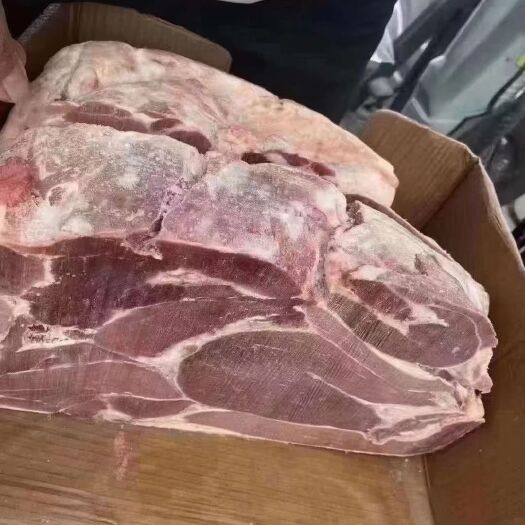 郑州牛肉类  牛前