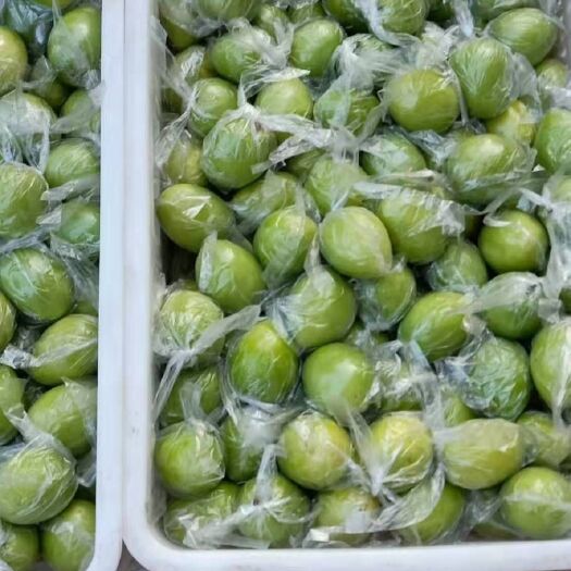 苍梧县牛奶果 广西梧州牛奶枣大量上市欢迎全国客商前来收购