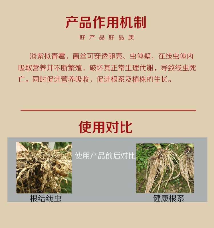 根无线生微生物菌剂淡紫拟青霉100亿活菌防治根结线虫害促根增