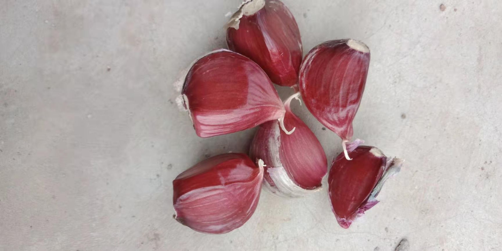 红皮蒜  精品高原红蒜，产地直供。