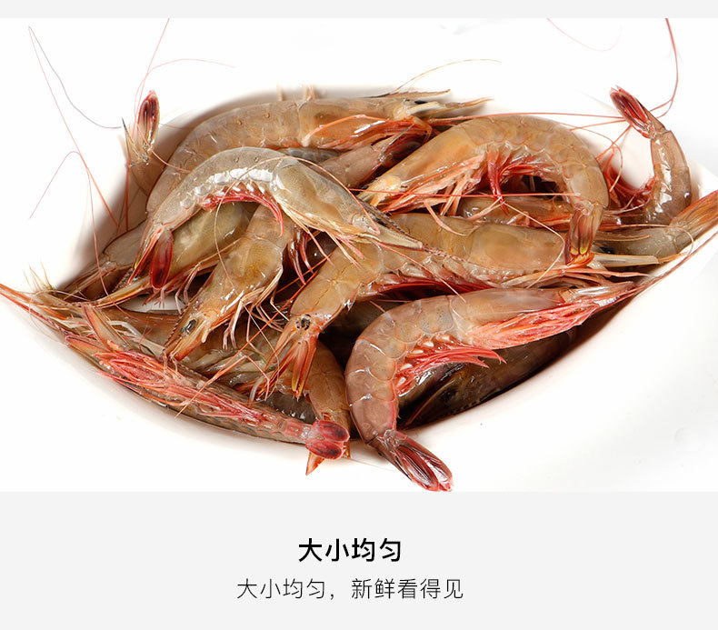 对虾  剑虾 冻剑虾  火锅 白灼 爆炸都合适