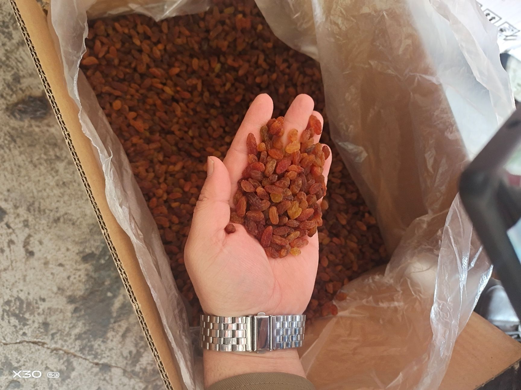 红葡萄干  精品小颗粒红提干  一百克400/420颗 适合 食品加工