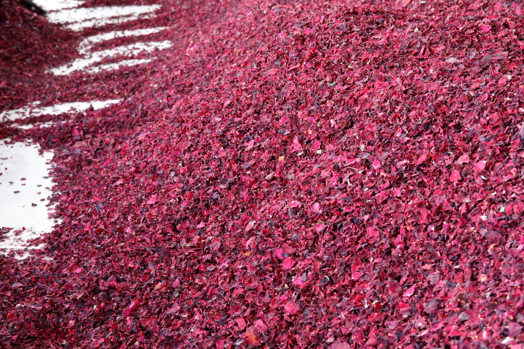 法国墨红玫瑰 墨红重瓣食用玫瑰花瓣