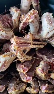  帝王蟹/蓝帝王