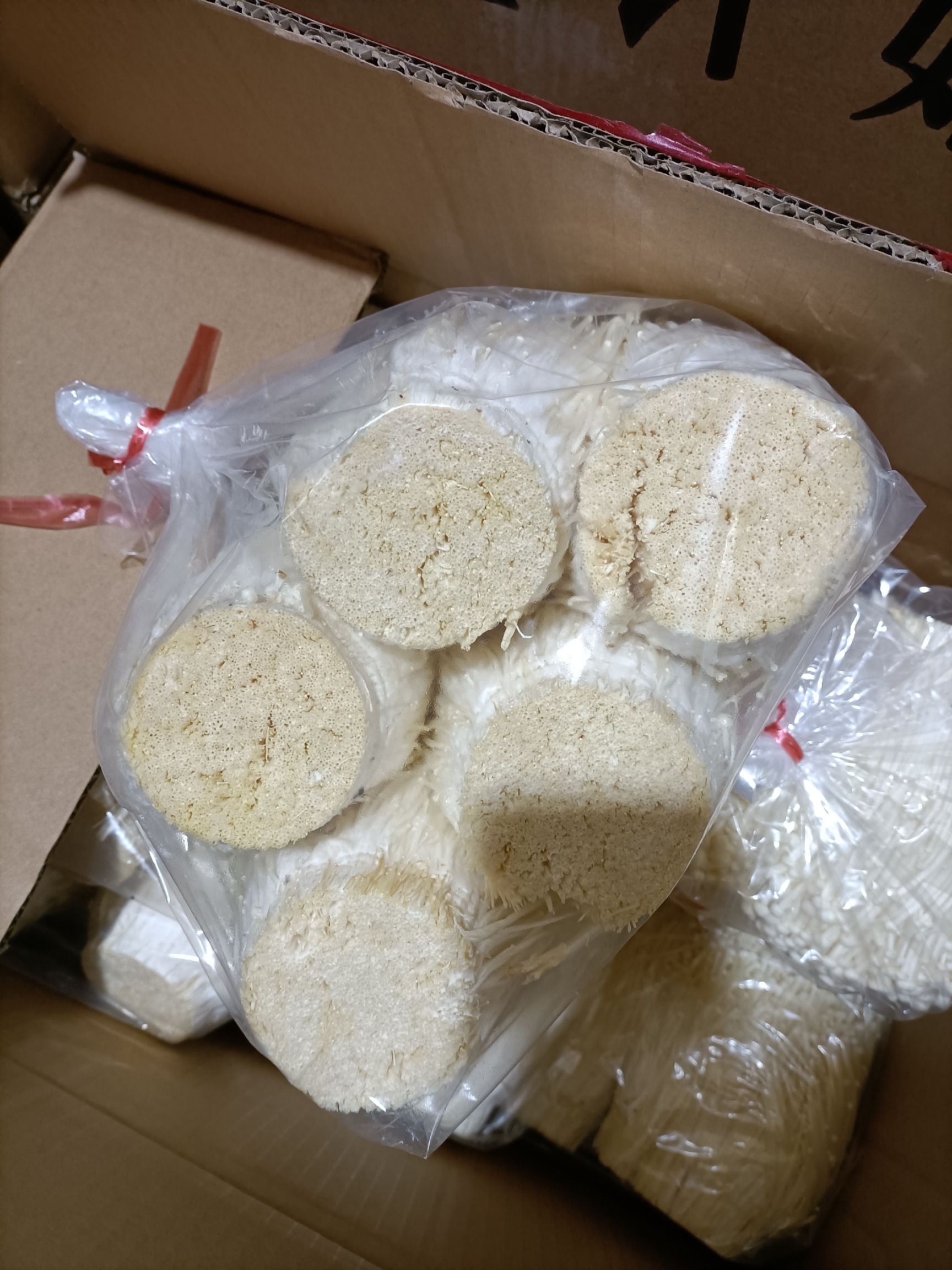 白金针菇  金针菇  40斤装a级b级c级