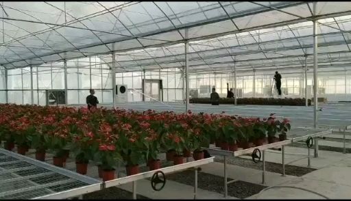 大棚  温室建设，无土栽培，园区规划，骨架销售