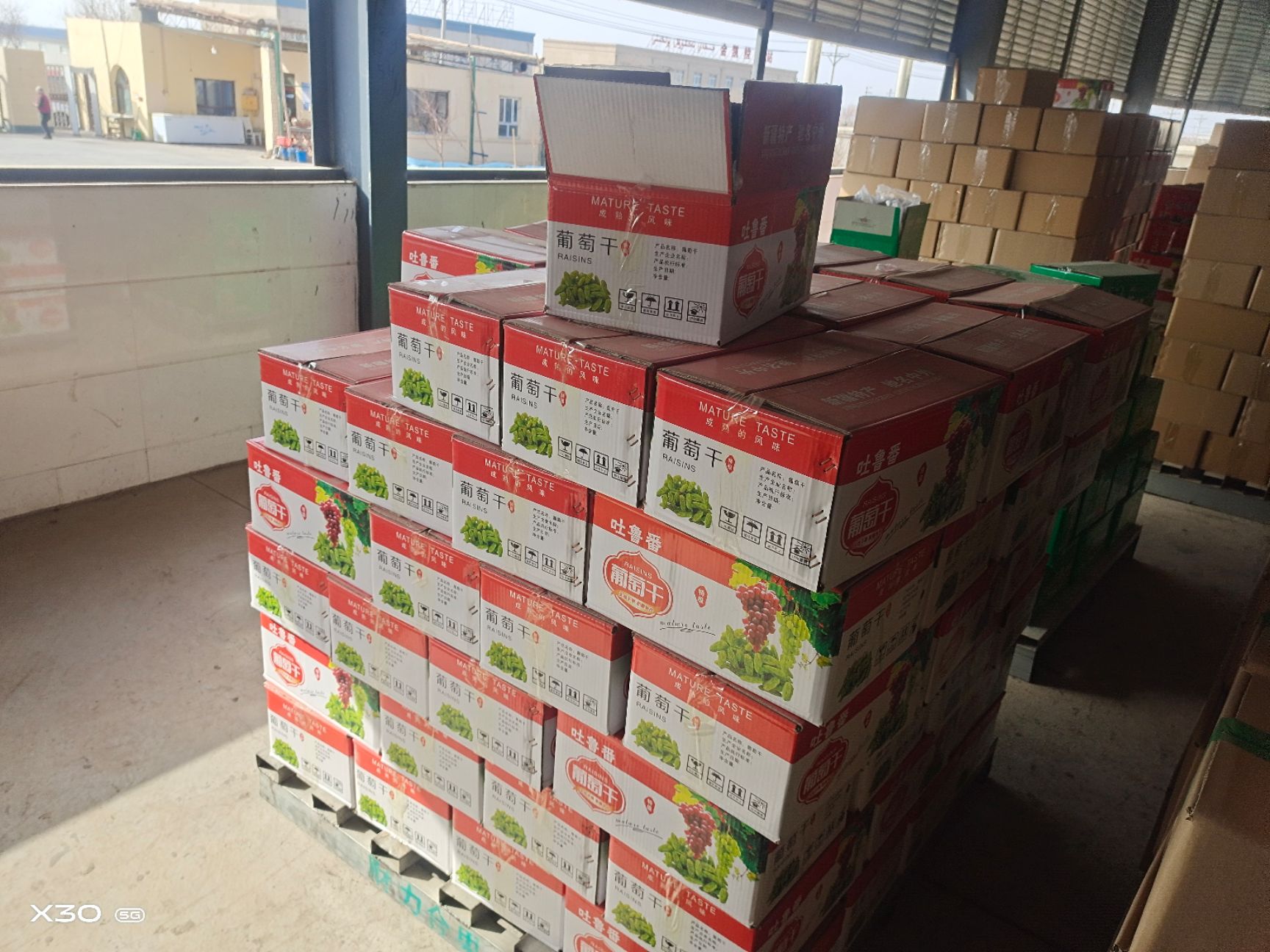 红葡萄干  精品小颗粒红提干  一百克400/420颗 适合 食品加工