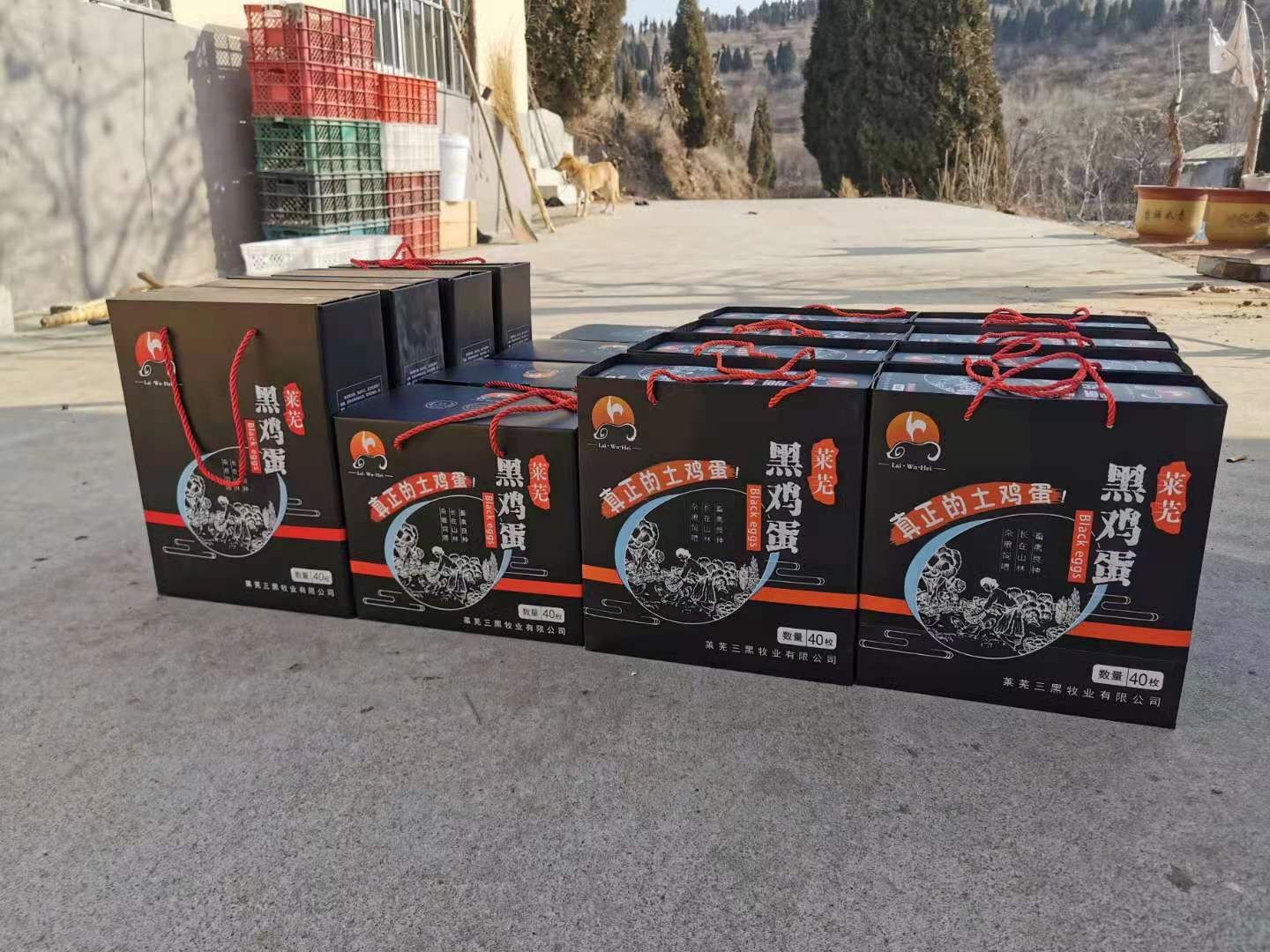 普通鸡蛋 莱芜三黑牧业有限公司产品