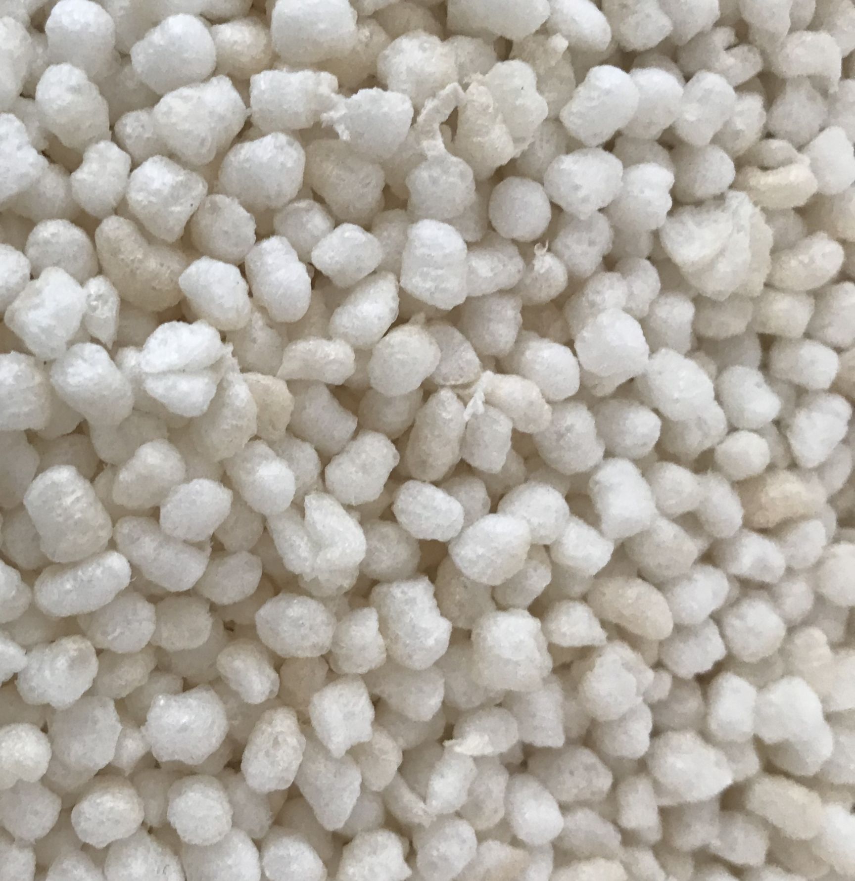 米花 6-12个月 2021-02-20 - 2021-02-20 