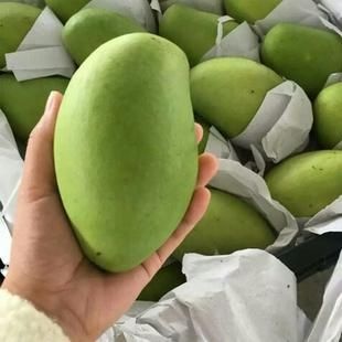屏边县 玉芒大量供应