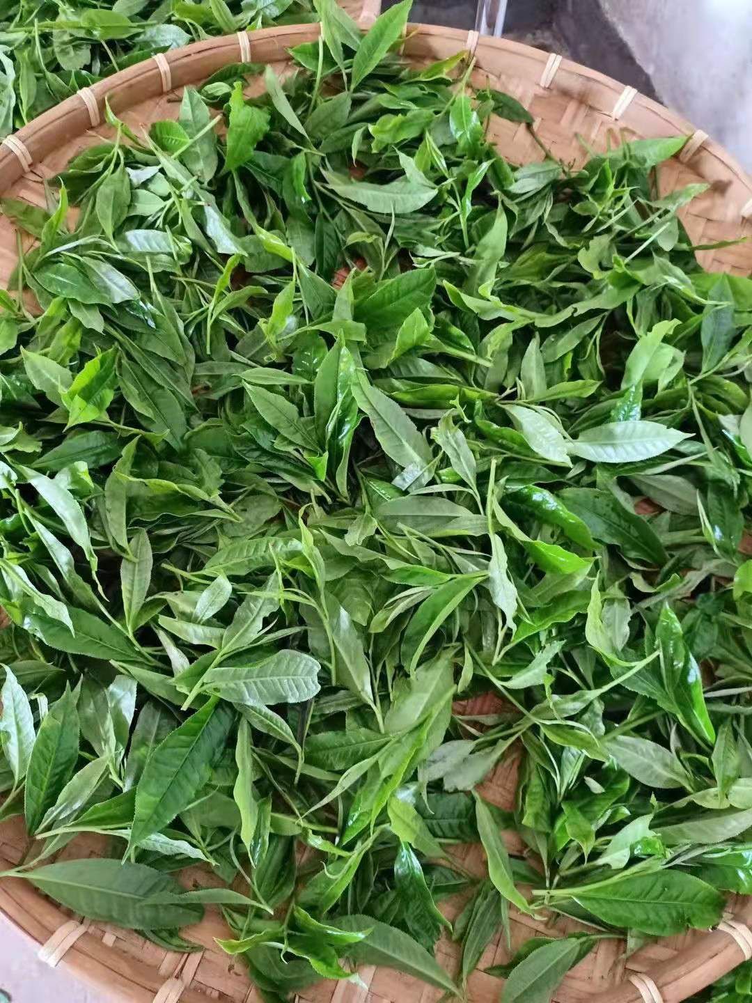 红茶，古树普洱茶，白茶，