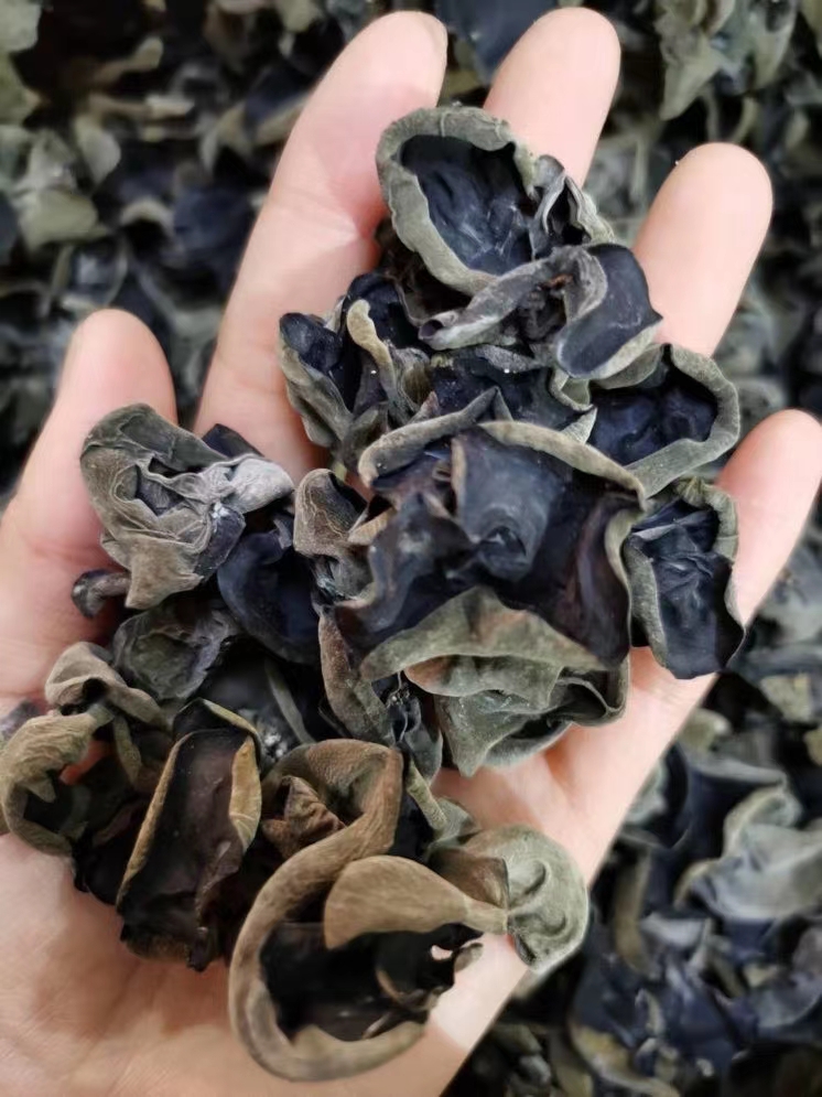  东北特级秋木耳500g新货肉厚无根黑木耳干货农家特产自产自销