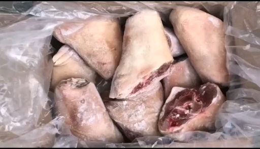 郑州猪肘子，猪前肘子，后肘子