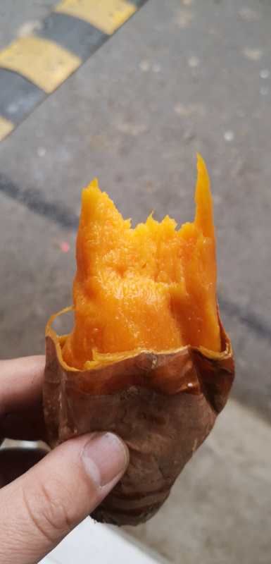 红心红薯 红皮红心烟薯25