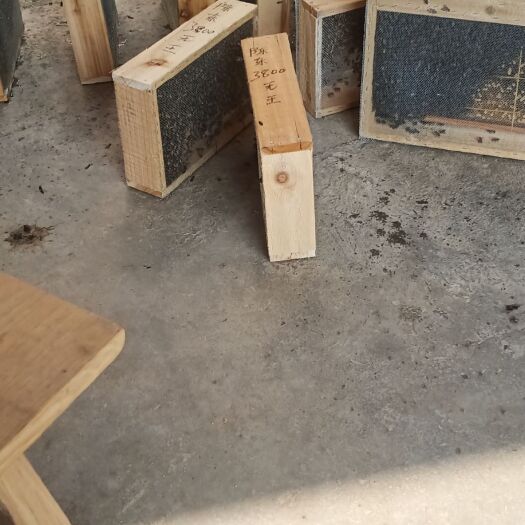 北流市中华蜜蜂  活体笼蜂无王3888个工蜂
