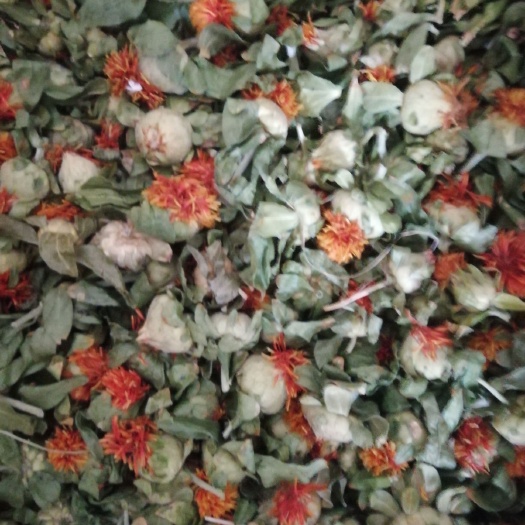 玉林【精品】红花果花多叶绿，大量批发