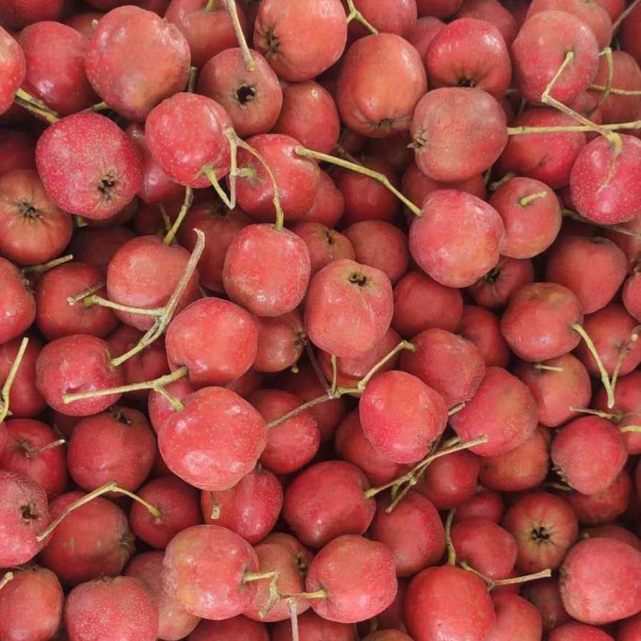 大五棱山楂  大五楞山楂 硬度好  糖雪球糖葫芦