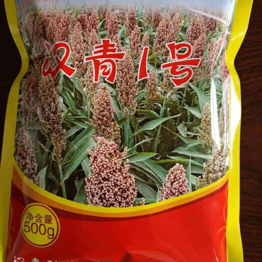 青县汉青一号 亩产1300斤，生育期110左右，积温在2500度以上
