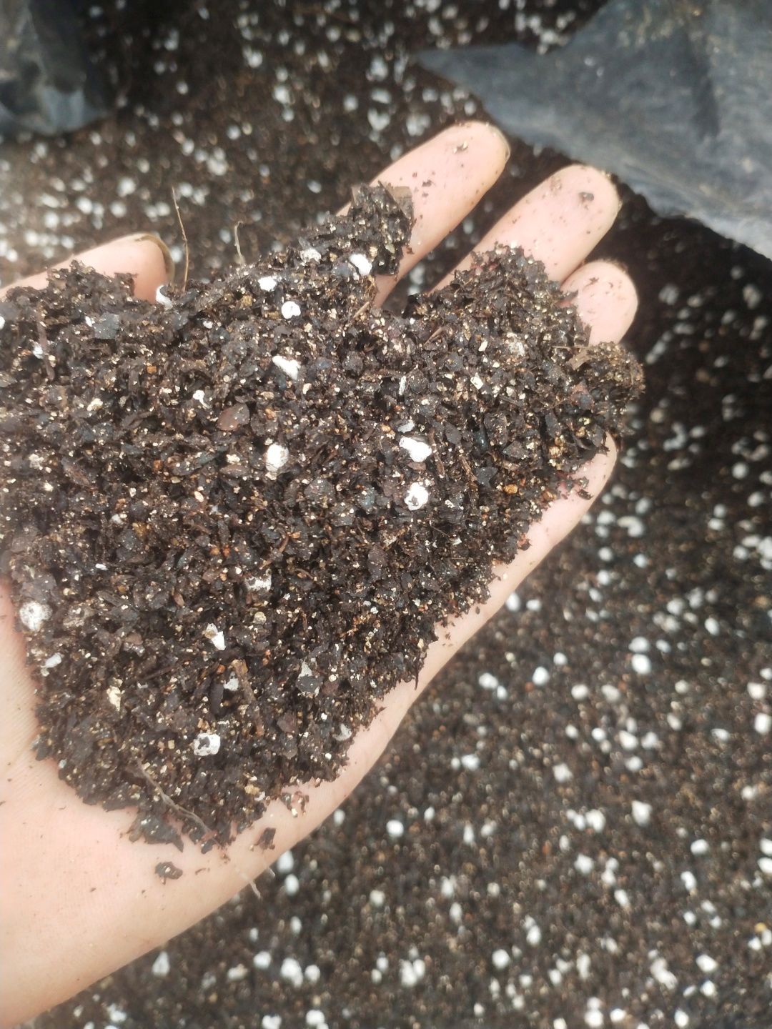 营养土  育苗基质，花土，，泥炭土