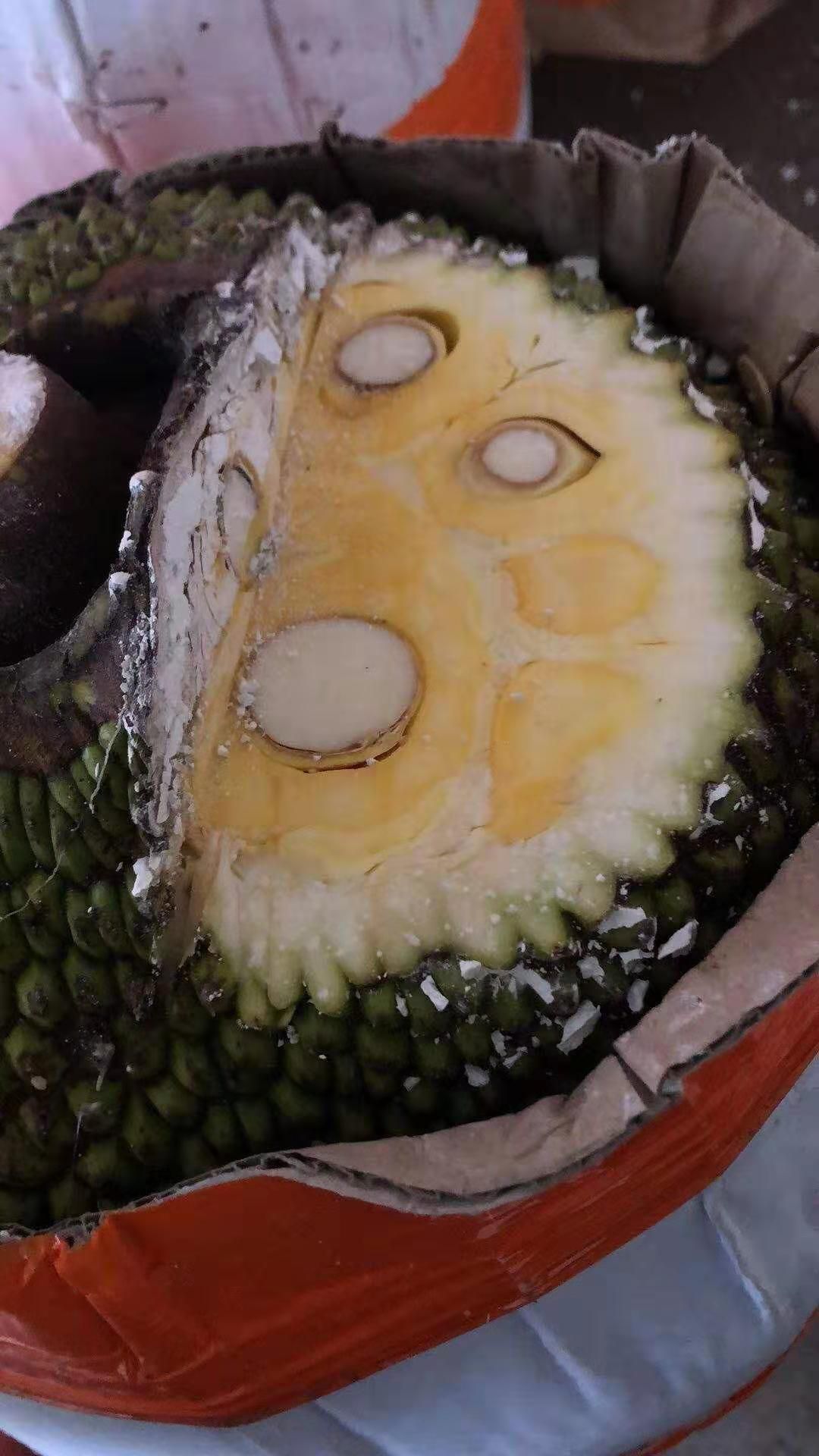 越南红肉菠萝蜜产地边境直发，可帮安排产地整柜出货，货源不断。