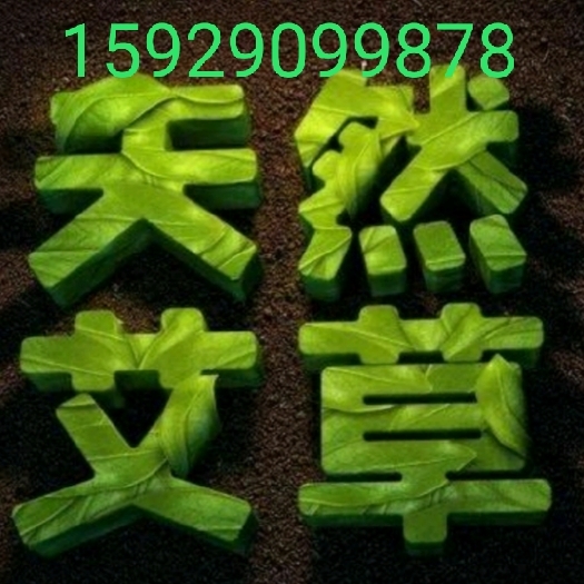 多年陈艾叶，艾叶，全棵艾蒿，全棵艾草