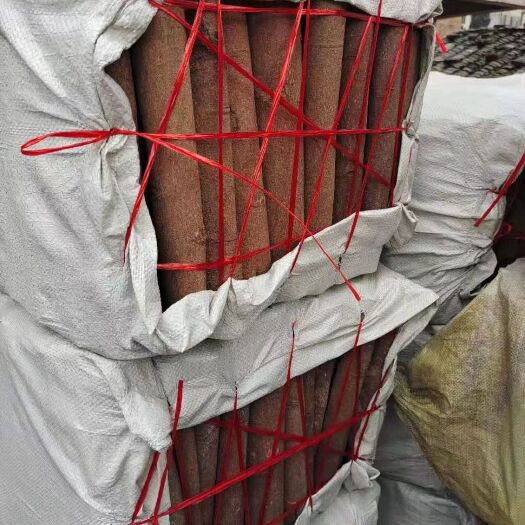 蒙山县普通桂皮 