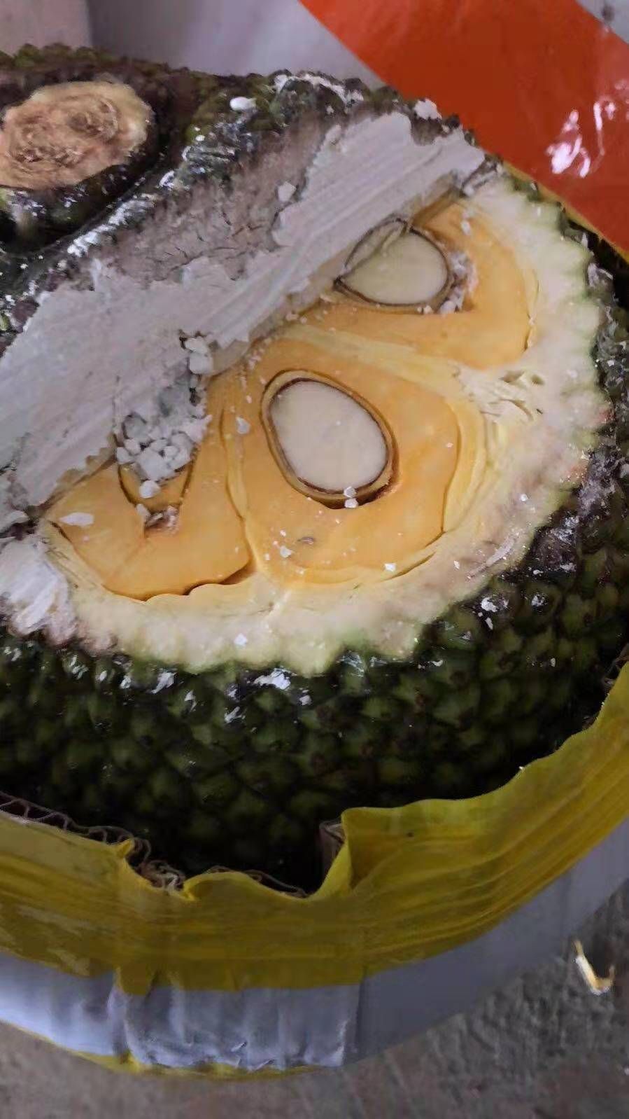 越南红肉菠萝蜜产地边境直发，可帮安排产地整柜出货，货源不断。