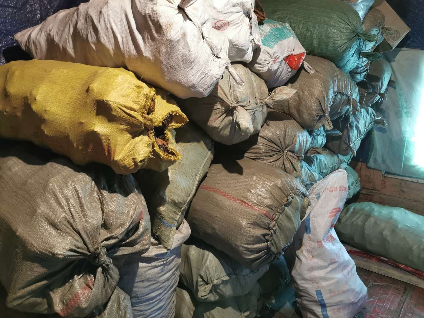 桑黄 西藏桑黄 非桑树桑黄 一手货源 量大欢迎来电洽谈