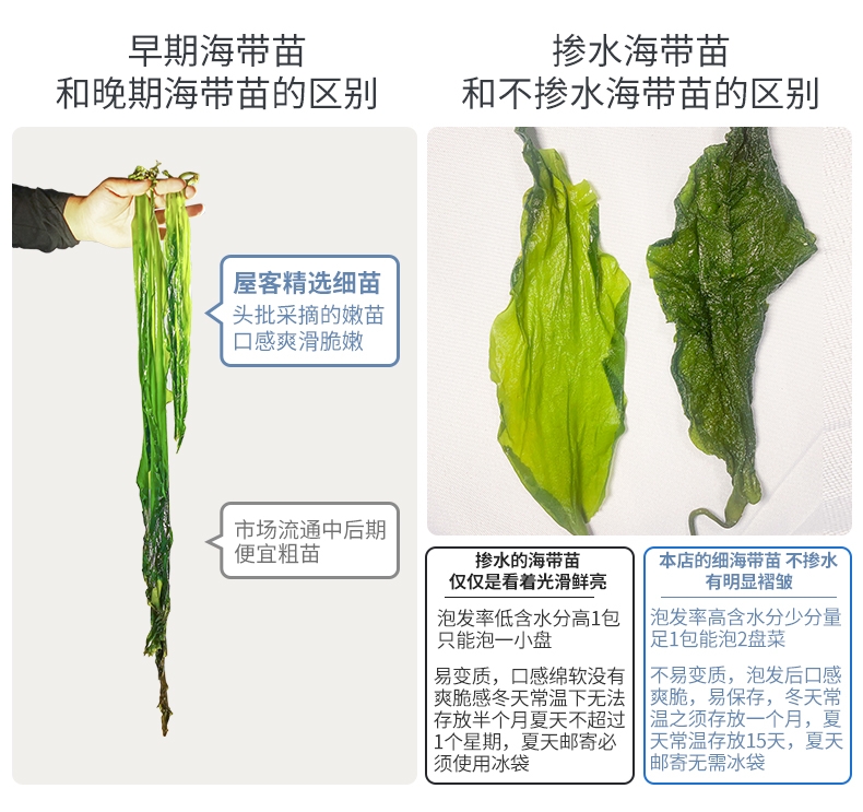 鲜海带 海带芽 霞浦海带嫩苗 社区团购，火锅 凉拌 煮汤