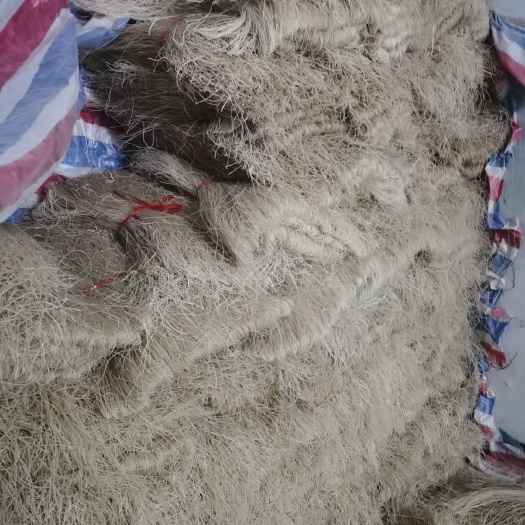 红薯粉丝 河南特产！红薯粉条健康绿色食品