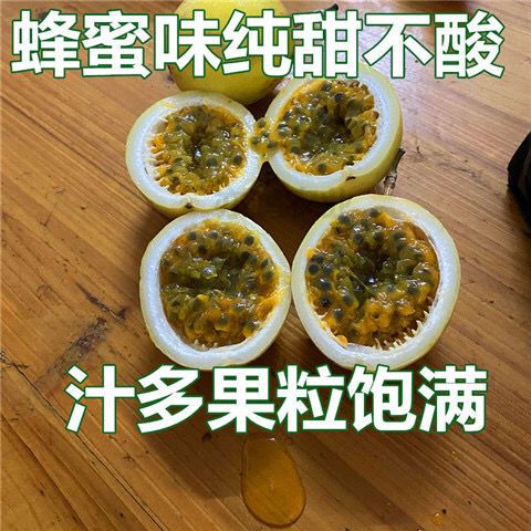 百香果苗  嫁接苗，黄金百香果苗，基地直发品质保证