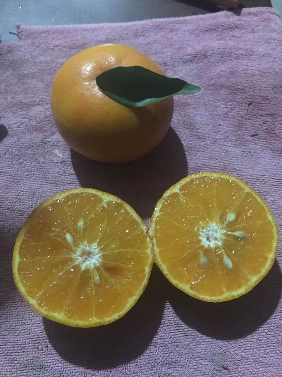  广西 沃柑 细嫩化渣 风味浓甜 清香可口 大宗批发广西沃柑