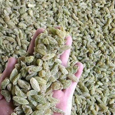 吐鲁番绿葡萄干  吐鲁番市精品大颗粒绿宝石葡萄干，原产地直发，一手货源