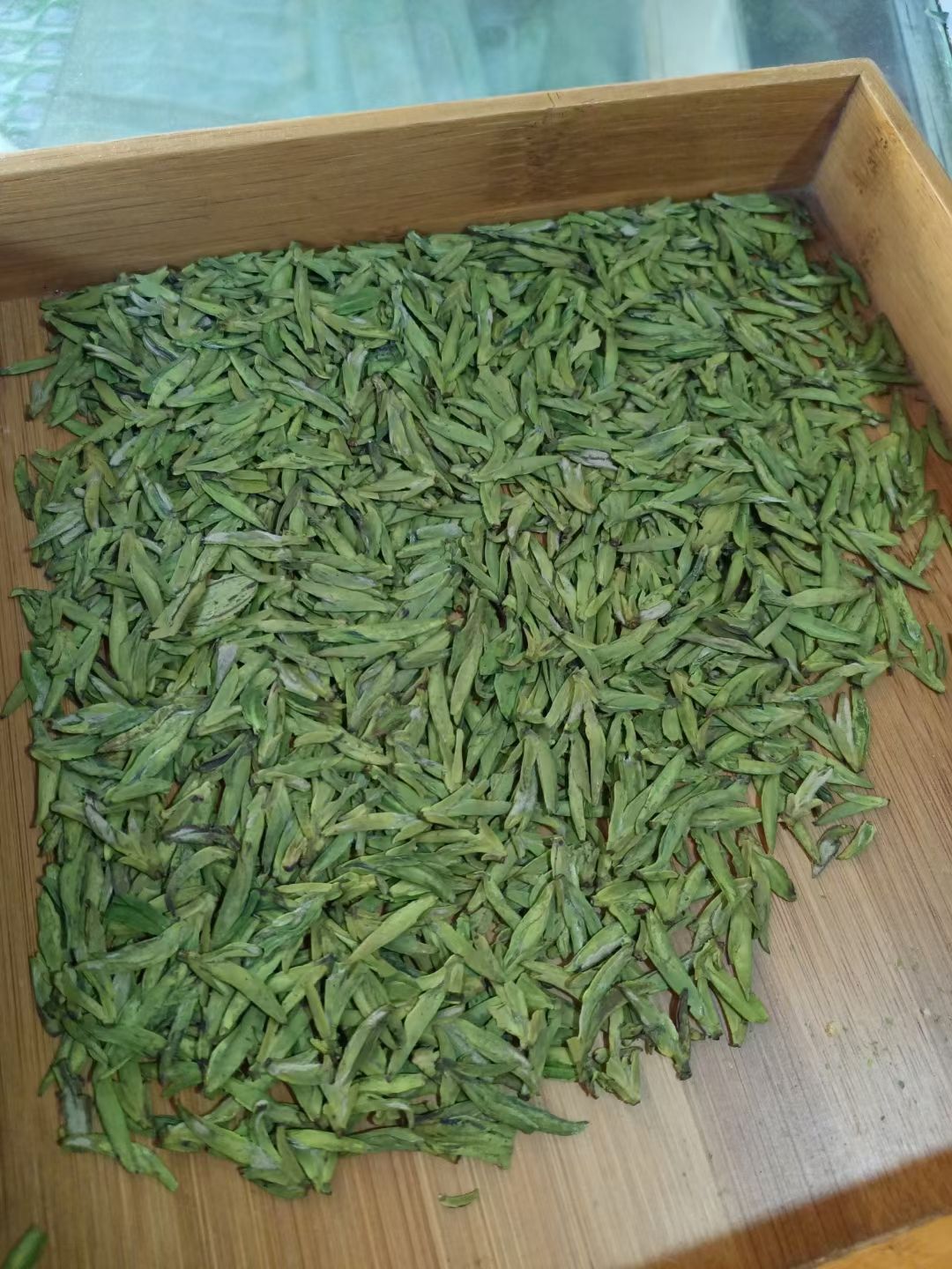 龙井茶  2021新茶上市