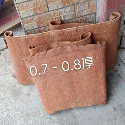 平南县肉桂板，高山油桂，无硫农产品