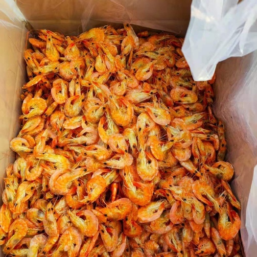 滨州对虾干 低盐淡干烤虾，鲜度特好，味道鲜美！补钙佳品，老少皆宜！