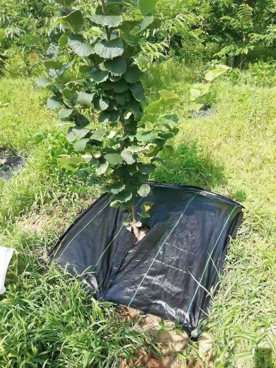 切片打孔防草布  黑色园艺地布 PP编织布果园遮草布 除草布