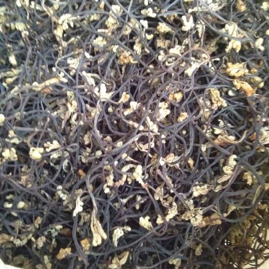 临沧蕨菜 云南省临沧市临翔区 干货 