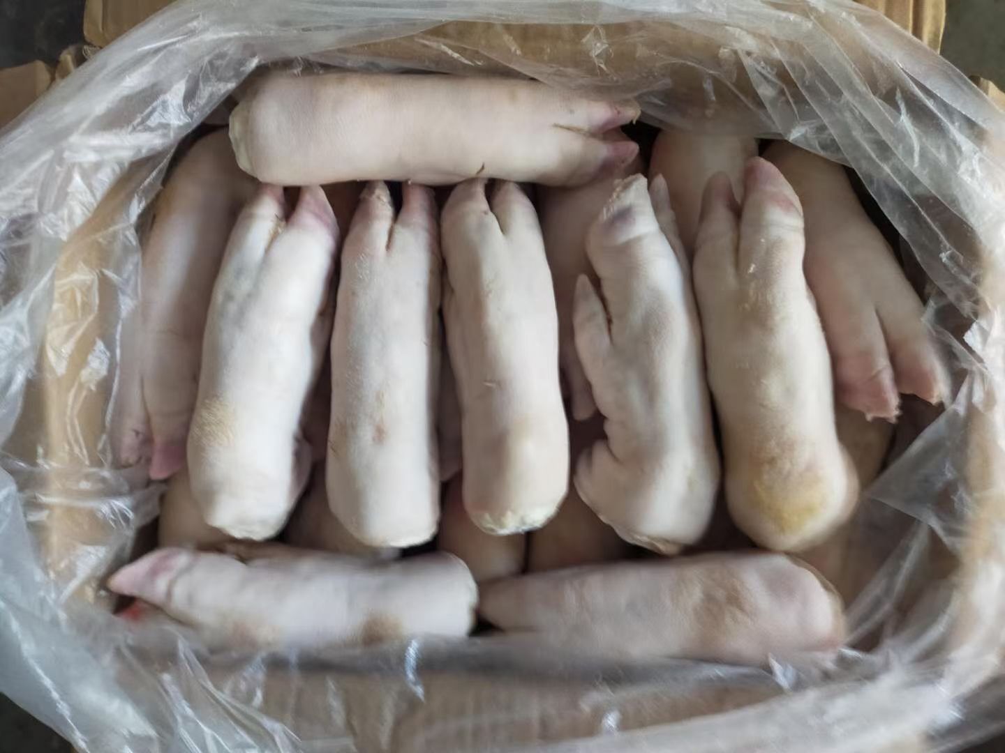 猪头，带筋猪蹄，猪前蹄一级猪蹄