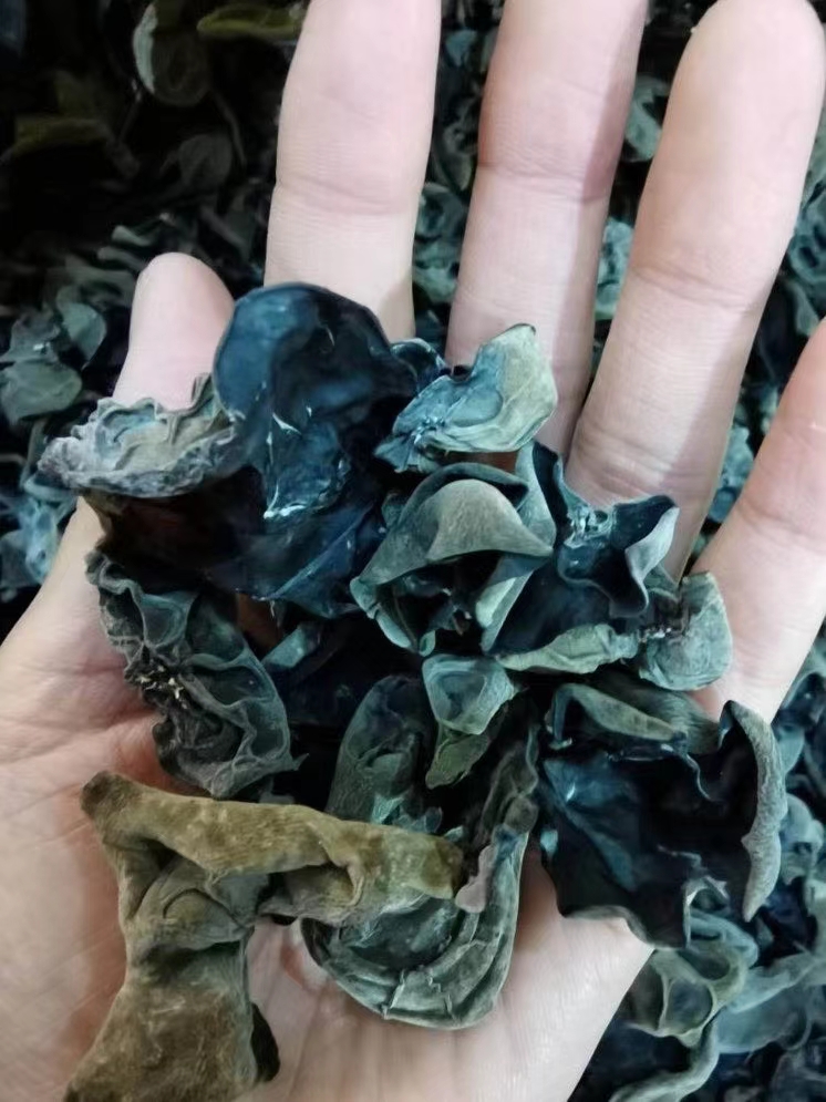  东北特级秋木耳500g新货肉厚无根黑木耳干货农家特产自产自销