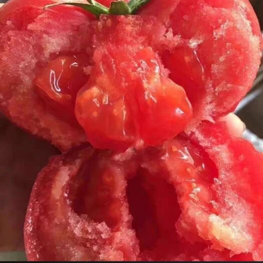 硬粉西红柿 黄河粉沙西红柿
