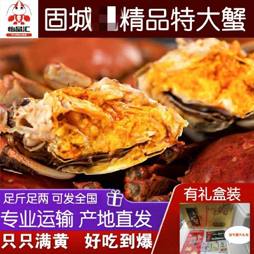 南京江苏高淳固城精品大闸蟹批发全国一手货源公蟹2两-6两死蟹包赔