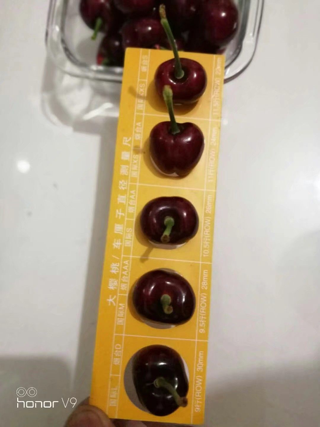 美早樱桃  美早大樱桃，糖分十八以上，硬度高，售后少，保证口感