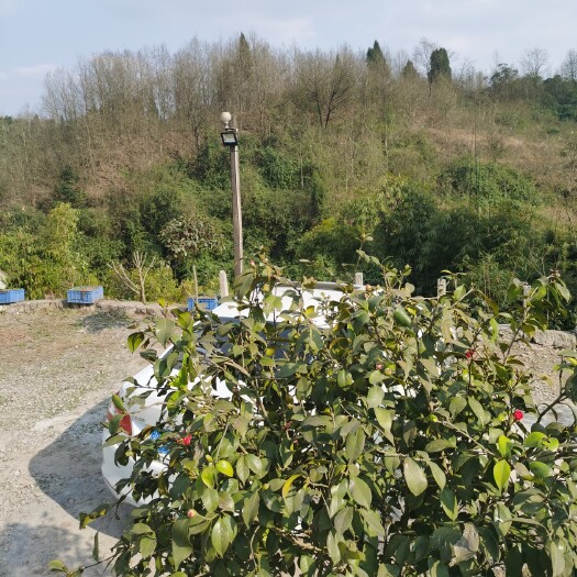 重庆市农场 休闲农家乐寻求合作，基础已完善，需升级规划。