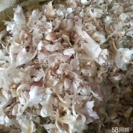 德阳大蒜皮
